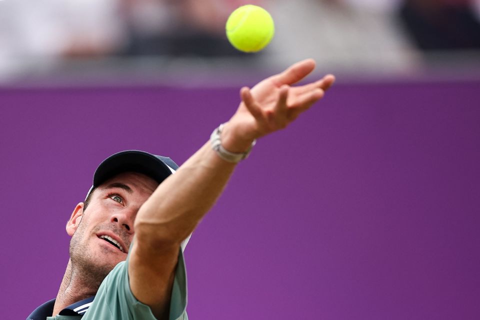 现给大家 现给大家